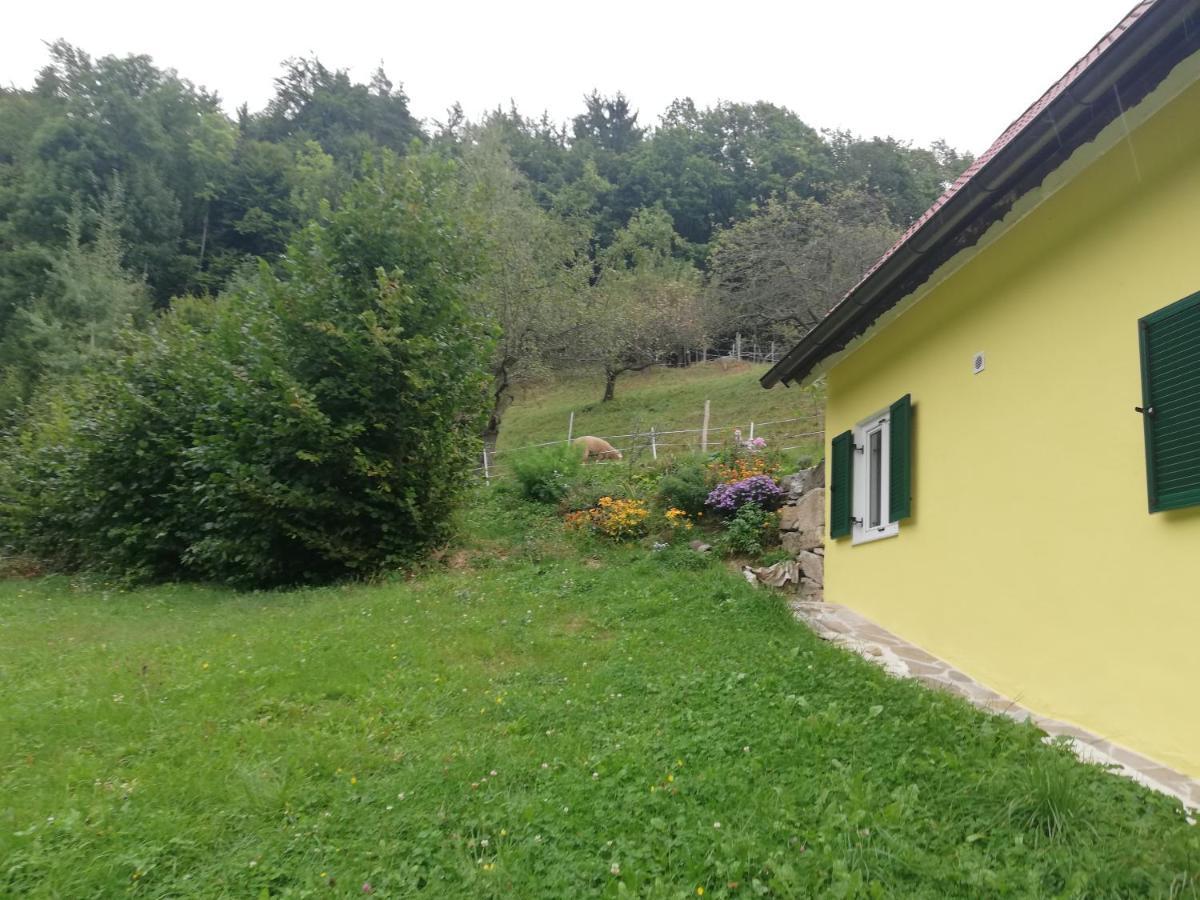 Ferienhaus Grabenhansl Щубенберг Екстериор снимка