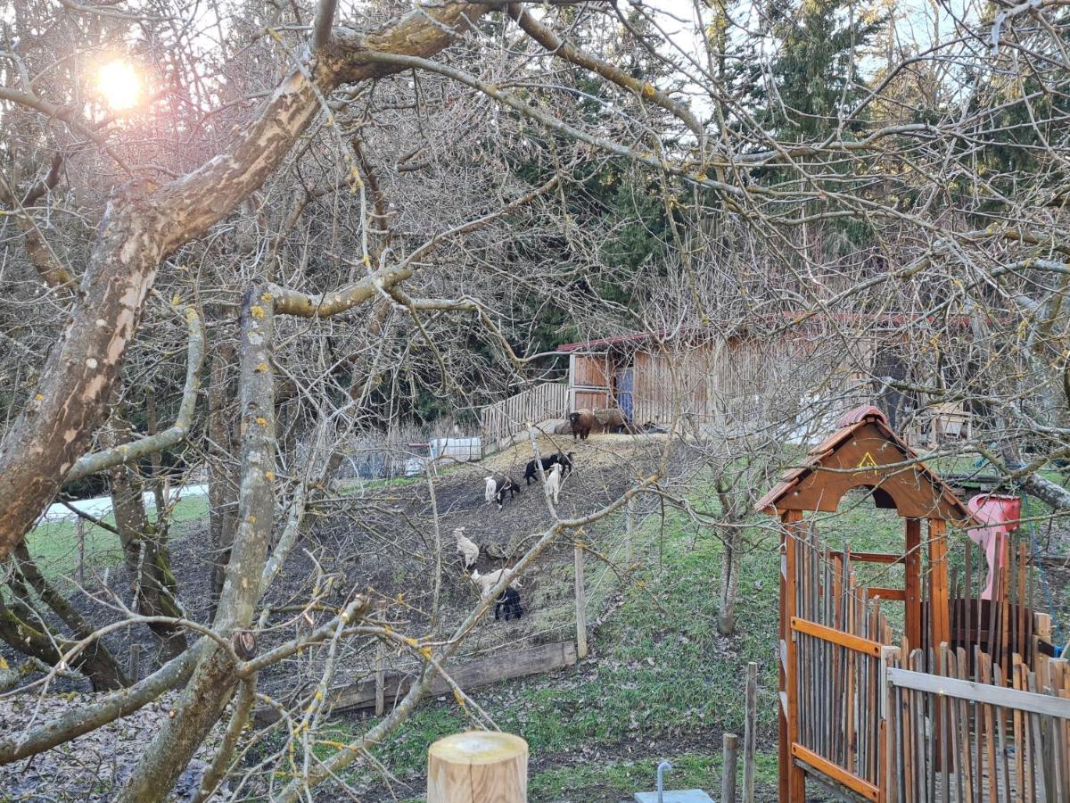 Ferienhaus Grabenhansl Щубенберг Екстериор снимка