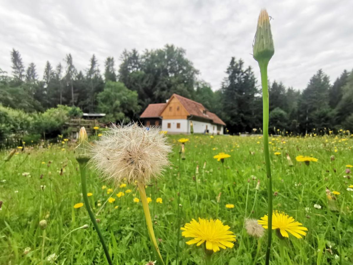 Ferienhaus Grabenhansl Щубенберг Екстериор снимка