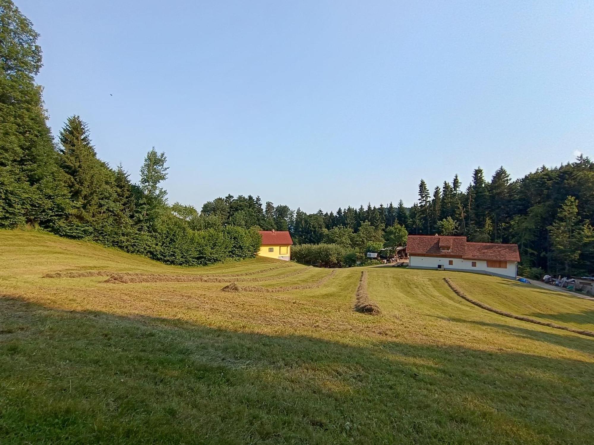Ferienhaus Grabenhansl Щубенберг Екстериор снимка